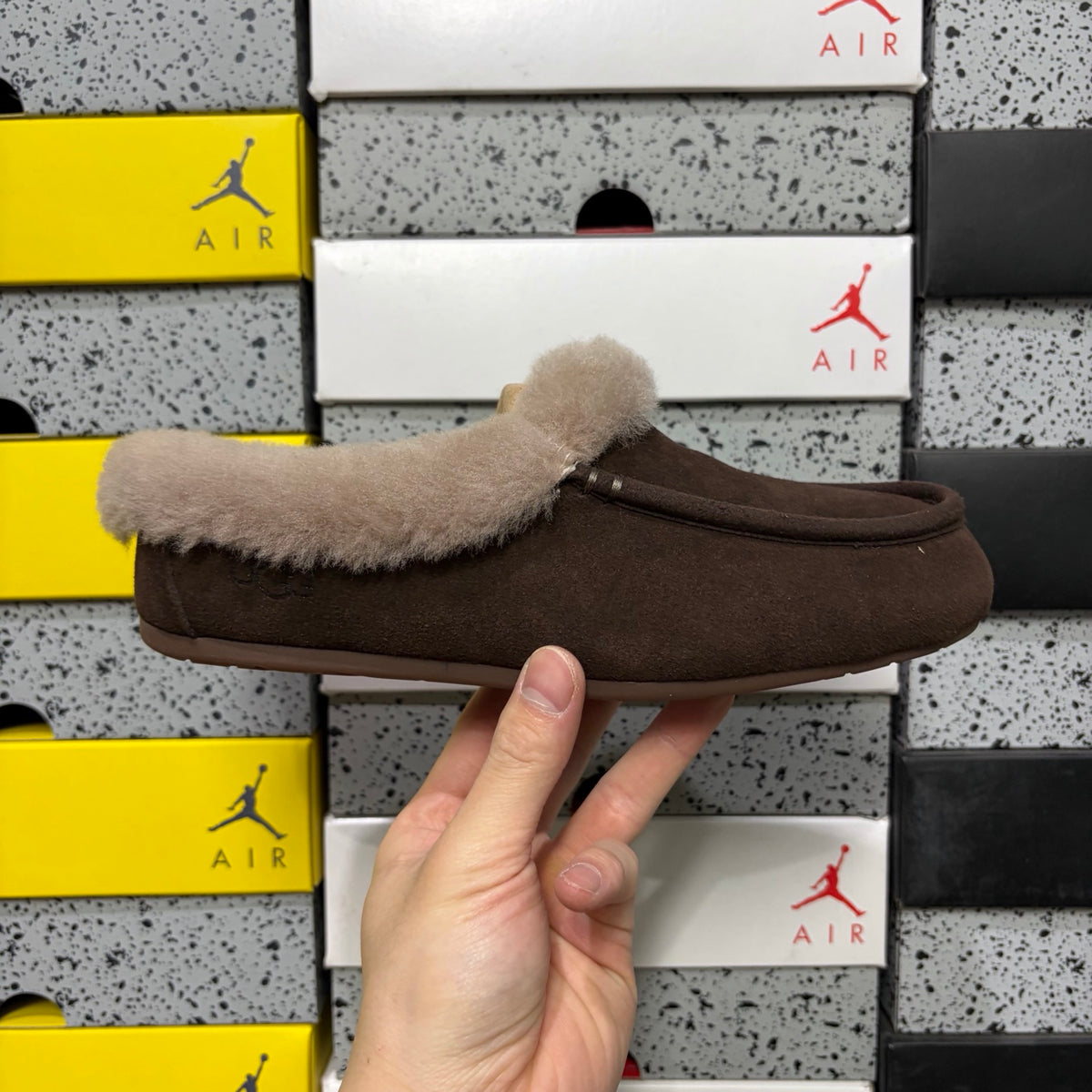UGG Moccasin Slippers in Cocoa Brown with Plush Collar
