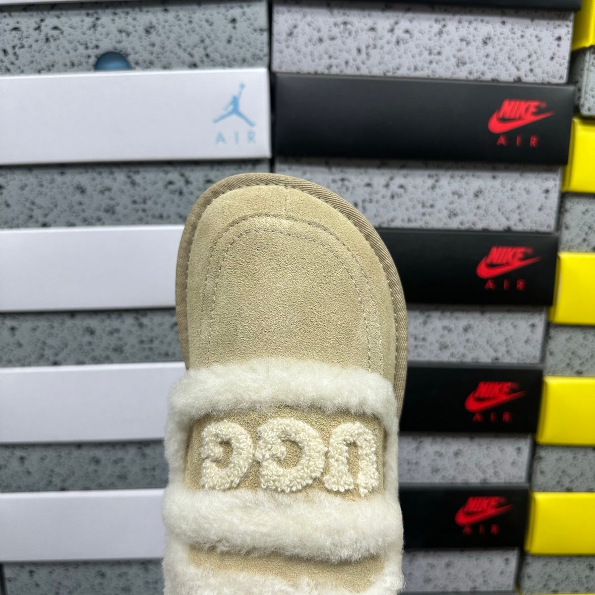 UGG Mule Slippers in Sand with Cream Plush Trim