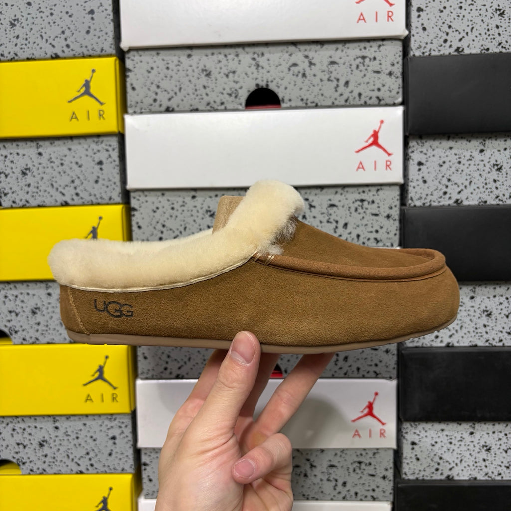 UGG Moccasin Slippers in Chestnut with Cream Plush Collar