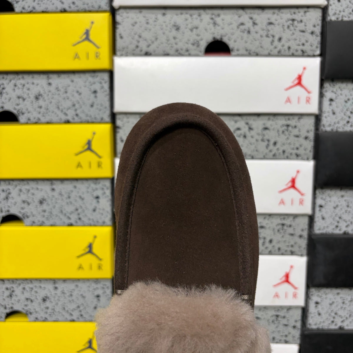 UGG Moccasin Slippers in Cocoa Brown with Plush Collar